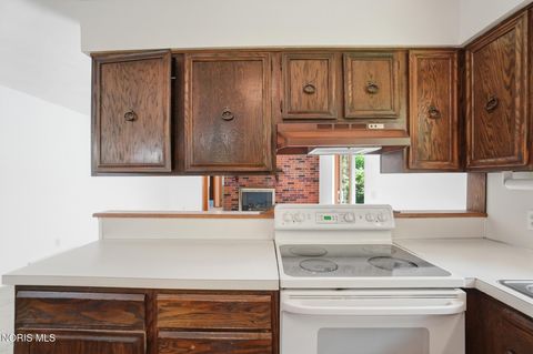Tiny photo for 10855 S River Road, Grand Rapids, OH 43522 (MLS # 10008001)