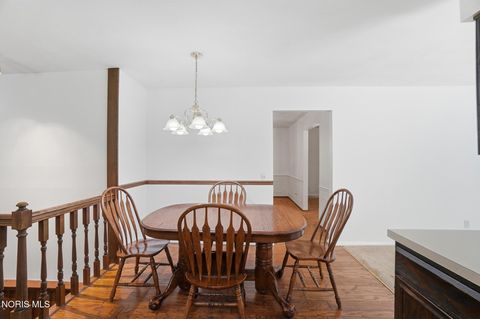 Tiny photo for 10855 S River Road, Grand Rapids, OH 43522 (MLS # 10008001)