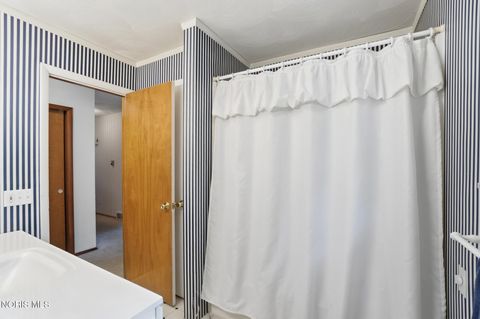 Tiny photo for 10855 S River Road, Grand Rapids, OH 43522 (MLS # 10008001)
