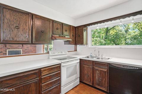 Tiny photo for 10855 S River Road, Grand Rapids, OH 43522 (MLS # 10008001)