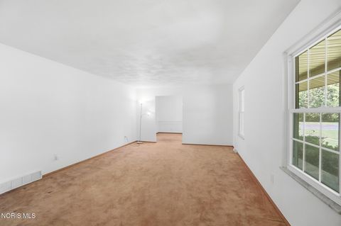 Tiny photo for 10855 S River Road, Grand Rapids, OH 43522 (MLS # 10008001)