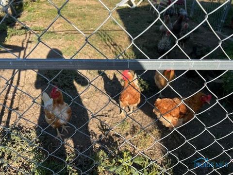 Tiny photo for 2467 Rice Road, Fremont, OH 43420 (MLS # 10006767)