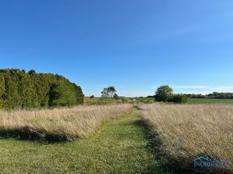 Tiny photo for 2467 Rice Road, Fremont, OH 43420 (MLS # 10006767)