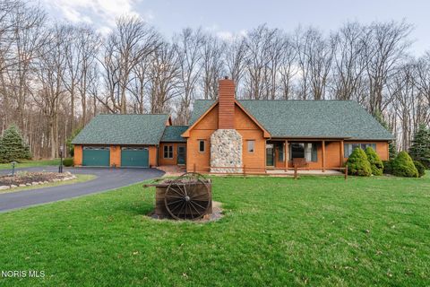 Photo of 9100 Township Road 25, Rawson, OH 45881 (MLS # 10005170)