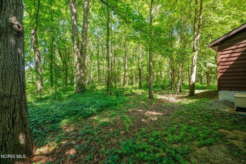 Tiny photo for 11460 County Road 12, Wauseon, OH 43567 (MLS # 10012793)