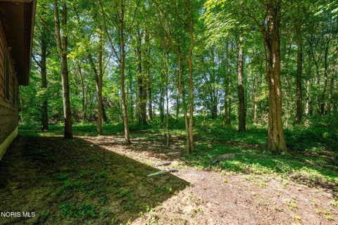Tiny photo for 11460 County Road 12, Wauseon, OH 43567 (MLS # 10012793)