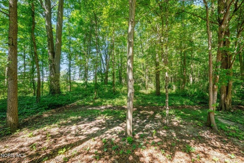 Tiny photo for 11460 County Road 12, Wauseon, OH 43567 (MLS # 10012793)