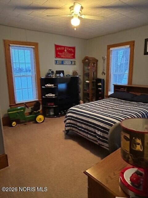 Tiny photo for 18857 Us Highway 20a, Wauseon, OH 43567 (MLS # 10003281)