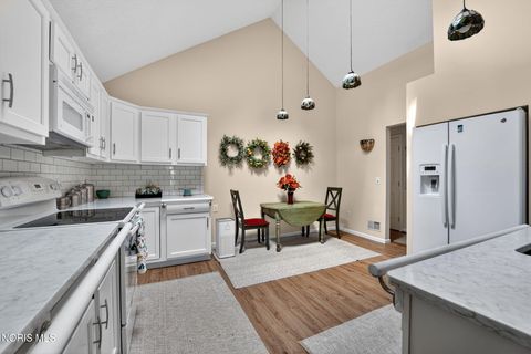 Tiny photo for 20 Main St Circle, Sylvania, OH 43560 (MLS # 10006740)