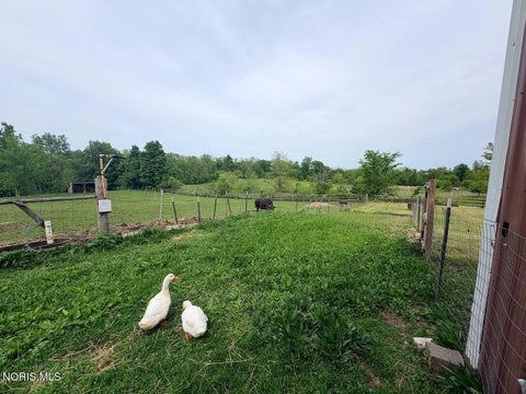 Tiny photo for 19099 County Road 2, Edon, OH 43518 (MLS # 10008717)