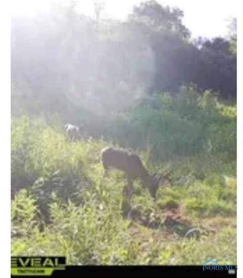 Tiny photo for 0 State Route 249, Ney, OH 43549 (MLS # 10001342)