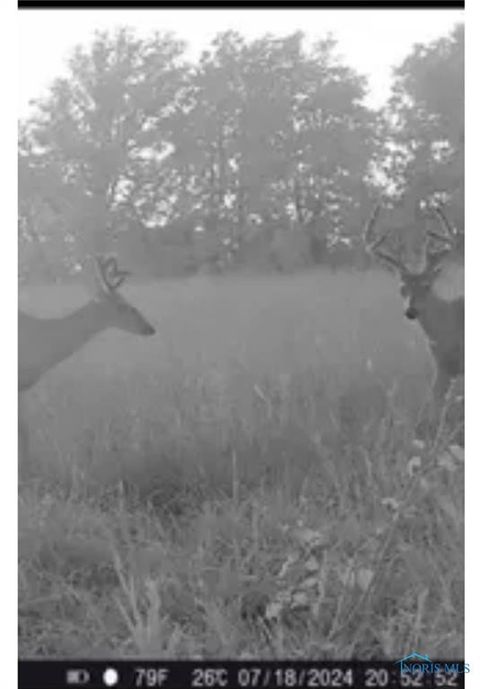 Tiny photo for 0 State Route 249, Ney, OH 43549 (MLS # 10001342)