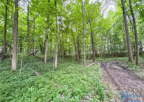 Tiny photo for 0 State Route 249, Ney, OH 43549 (MLS # 10001342)