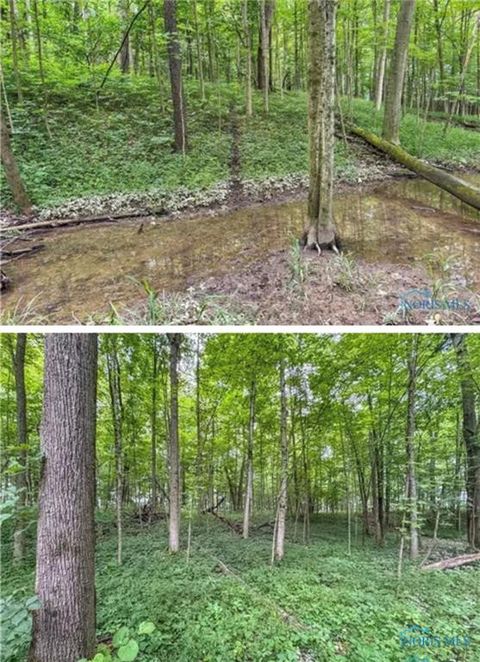 Tiny photo for 0 State Route 249, Ney, OH 43549 (MLS # 10001342)