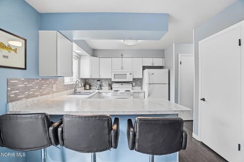 Tiny photo for 357 Wrexham Lane #101, Maumee, OH 43537 (MLS # 10004357)