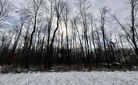 Photo of Township Rd 79, Findlay, OH 45840 (MLS # 10002643)