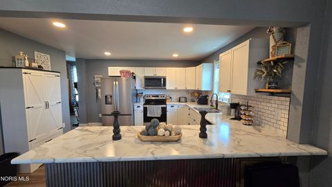 Tiny photo for 507 County Road 18, Holgate, OH 43527 (MLS # 10008483)
