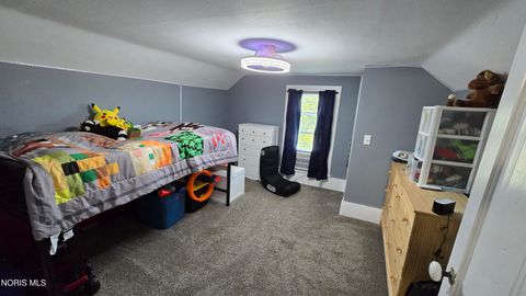 Tiny photo for 507 County Road 18, Holgate, OH 43527 (MLS # 10008483)