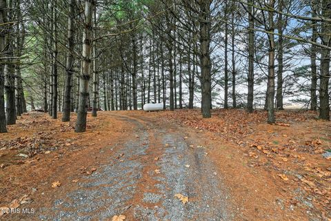 Tiny photo for 9136 County Road Ef, Delta, OH 43515 (MLS # 10005070)