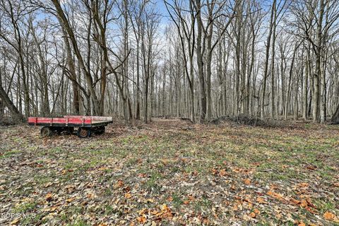 Tiny photo for 9136 County Road Ef, Delta, OH 43515 (MLS # 10005070)