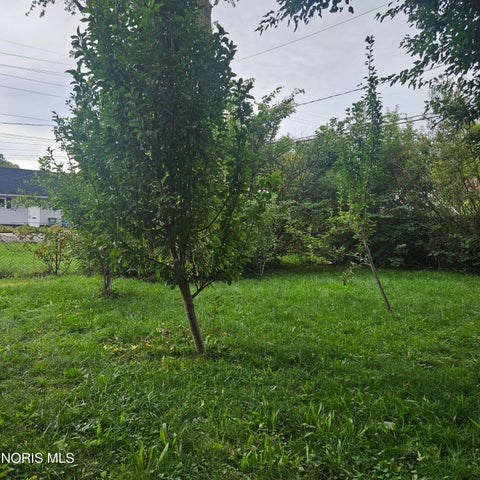 Tiny photo for 5019 Selma Street, Toledo, OH 43613 (MLS # 10014017)
