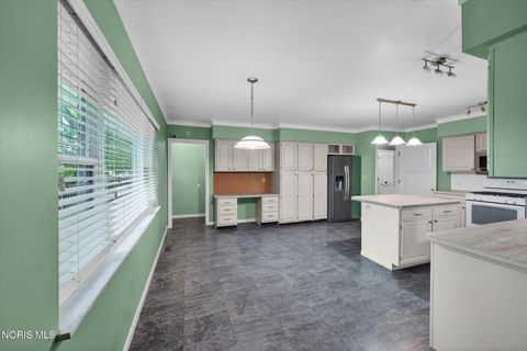 Tiny photo for 201 Sheffield Avenue, Napoleon, OH 43545 (MLS # 10009075)