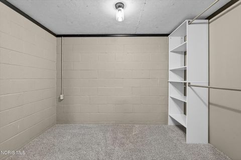 Tiny photo for 201 Sheffield Avenue, Napoleon, OH 43545 (MLS # 10009075)