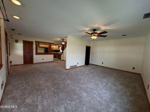 Tiny photo for 208 Vine Street, Archbold, OH 43502 (MLS # 10005764)