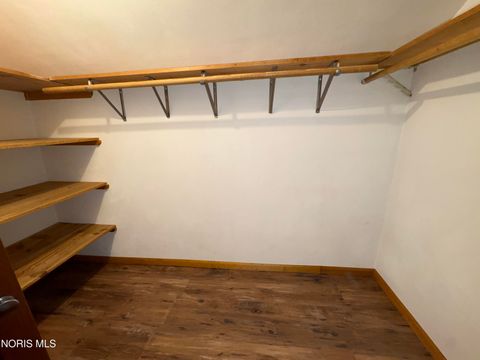 Tiny photo for 208 Vine Street, Archbold, OH 43502 (MLS # 10005764)