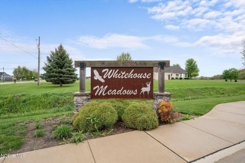Tiny photo for 6958 Big Buck Trail, Whitehouse, OH 43571 (MLS # 10007258)