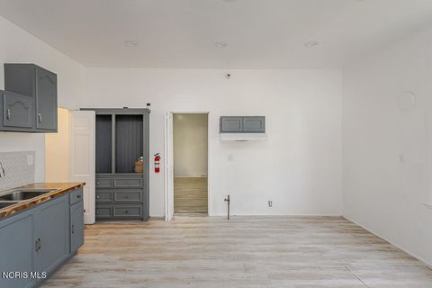 Tiny photo for 233 Garland Avenue, Toledo, OH 43609 (MLS # 10007040)