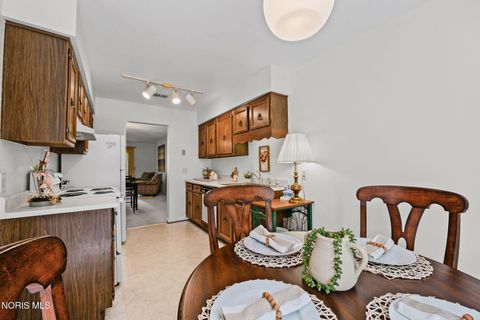 Tiny photo for 5 Olde Orchard Drive, Perrysburg, OH 43551 (MLS # 10009672)