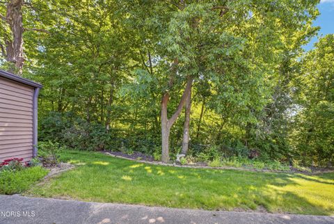 Tiny photo for 43 La Plas Drive #43, Findlay, OH 45840 (MLS # 10008403)
