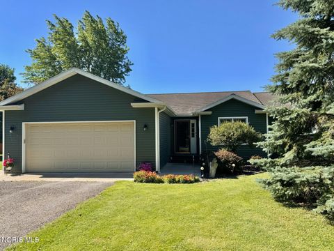 Photo of 818 Shawanoe Street, Montpelier, OH 43543 (MLS # 10009238)