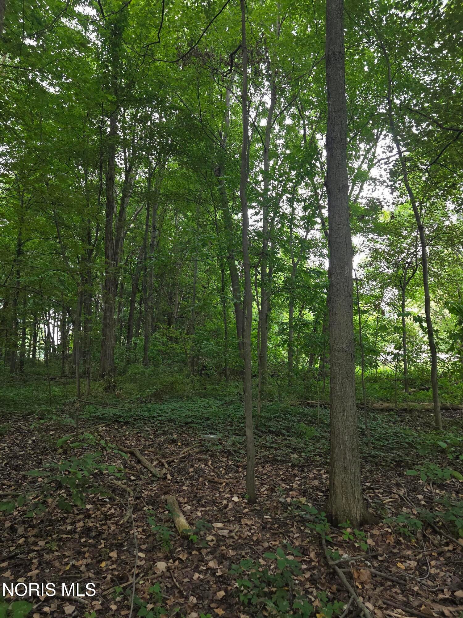 9470 Maumee Western Road