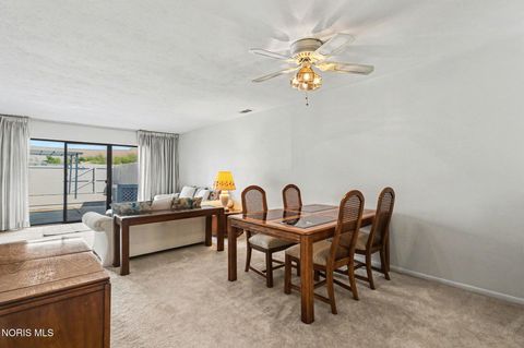 Tiny photo for 2515 W Village Drive, Toledo, OH 43614 (MLS # 10006060)