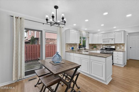Tiny photo for 2238 Old Planke Road, Holland, OH 43528 (MLS # 10009726)