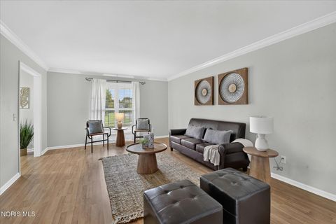 Tiny photo for 2238 Old Planke Road, Holland, OH 43528 (MLS # 10009726)