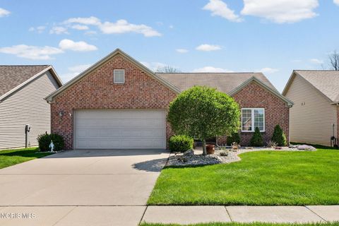 Tiny photo for 10101 S Shannon Hills Drive, Perrysburg, OH 43551 (MLS # 10006869)