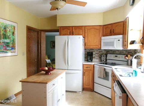 Tiny photo for 111 Carlings Avenue, Ottawa, OH 45875 (MLS # 10009287)