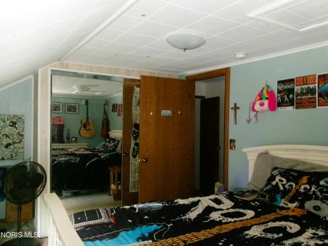 Tiny photo for 111 Carlings Avenue, Ottawa, OH 45875 (MLS # 10009287)