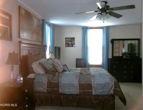Tiny photo for 111 Carlings Avenue, Ottawa, OH 45875 (MLS # 10009287)