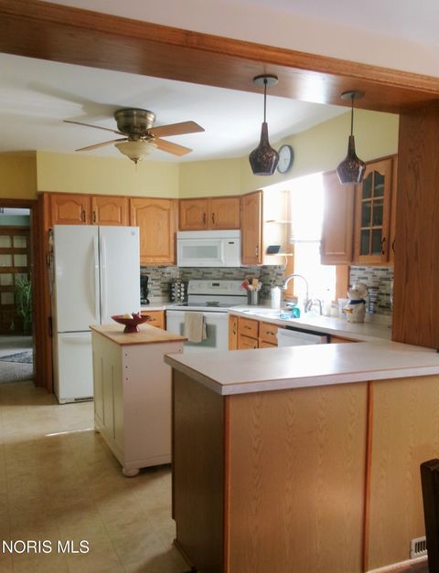 Tiny photo for 111 Carlings Avenue, Ottawa, OH 45875 (MLS # 10009287)