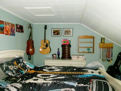 Tiny photo for 111 Carlings Avenue, Ottawa, OH 45875 (MLS # 10009287)