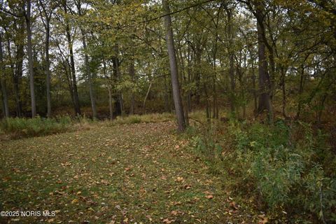 Tiny photo for 9340 Stitt Road, Whitehouse, OH 43571 (MLS # 10000693)