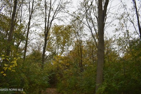 Tiny photo for 9340 Stitt Road, Whitehouse, OH 43571 (MLS # 10000693)