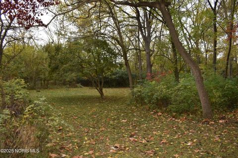 Tiny photo for 9340 Stitt Road, Whitehouse, OH 43571 (MLS # 10000693)