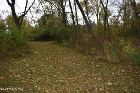 Tiny photo for 9340 Stitt Road, Whitehouse, OH 43571 (MLS # 10000693)
