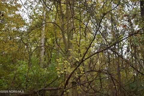 Tiny photo for 9340 Stitt Road, Whitehouse, OH 43571 (MLS # 10000693)