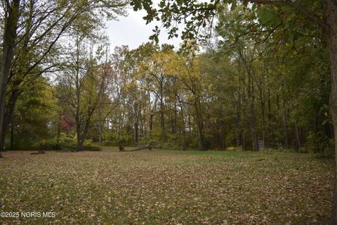 Tiny photo for 9340 Stitt Road, Whitehouse, OH 43571 (MLS # 10000693)